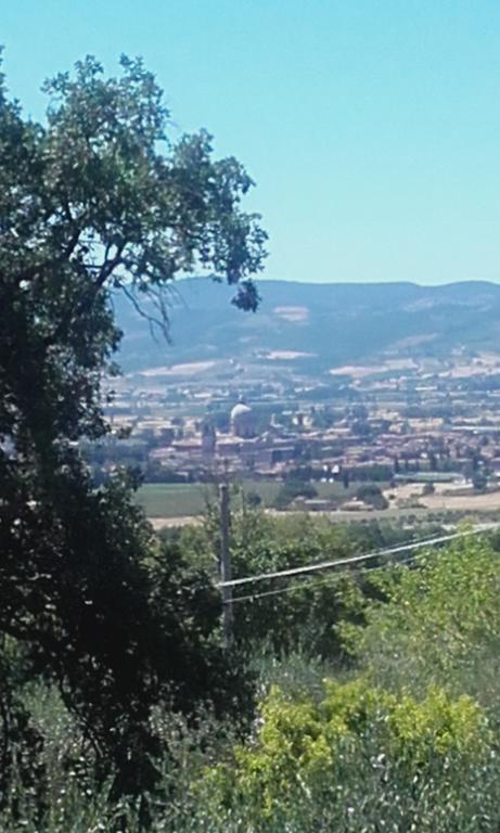 B&B Colle San Francesco Assisi Exterior foto